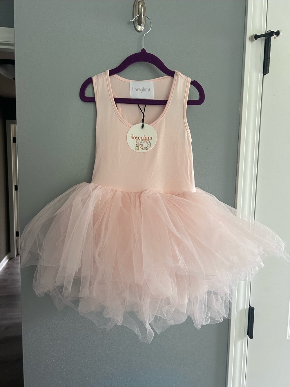 Iloveplum Girls' Light Pink Tulle Dress